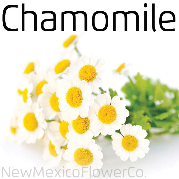 Where can I buy Chamomile in Albuquerque