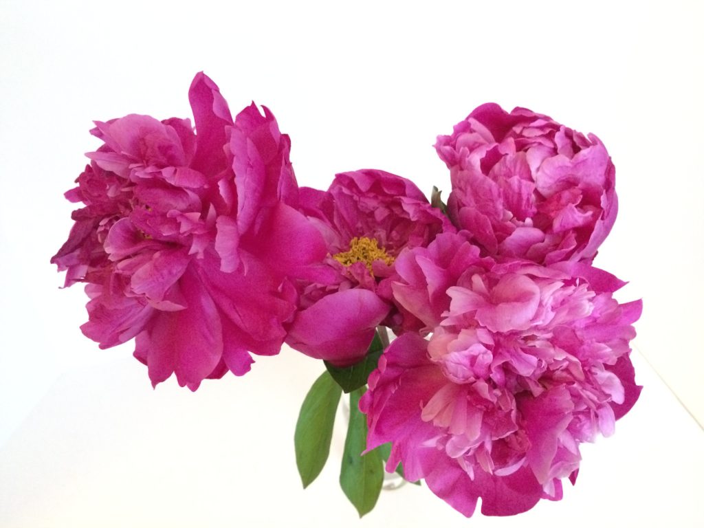 Pink Peony Wedding Flowers NM Flower Company