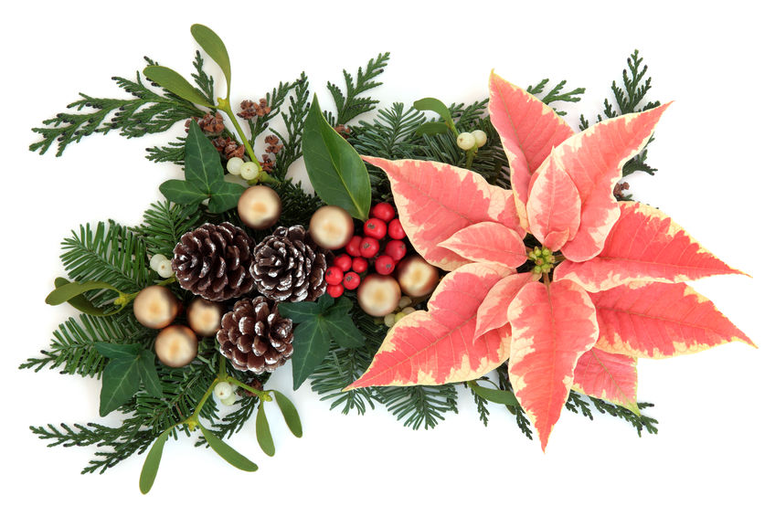 Christmas Flower Centerpiece Guide