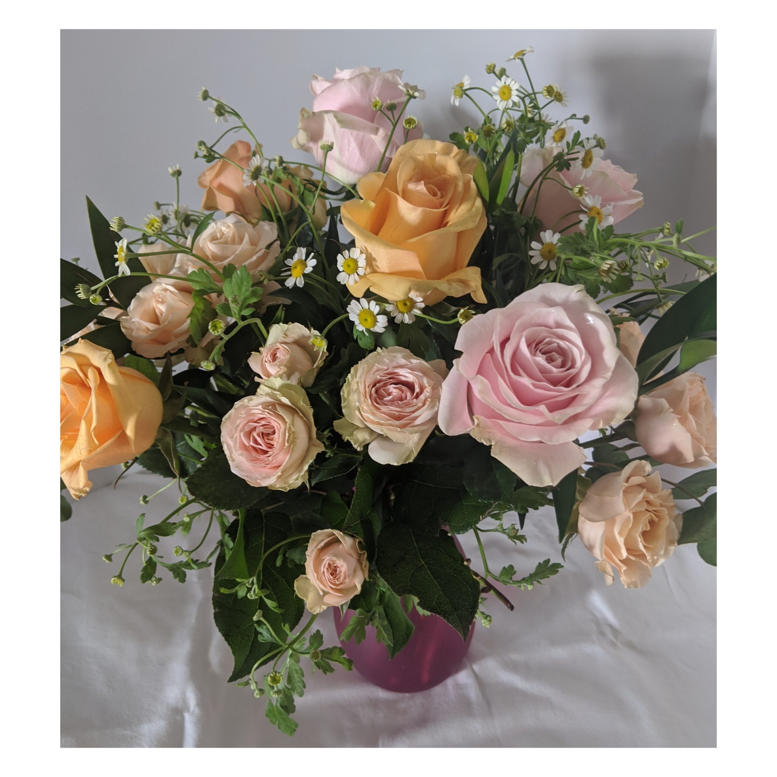 Luxury Roses for Mother's Day Rio Rancho