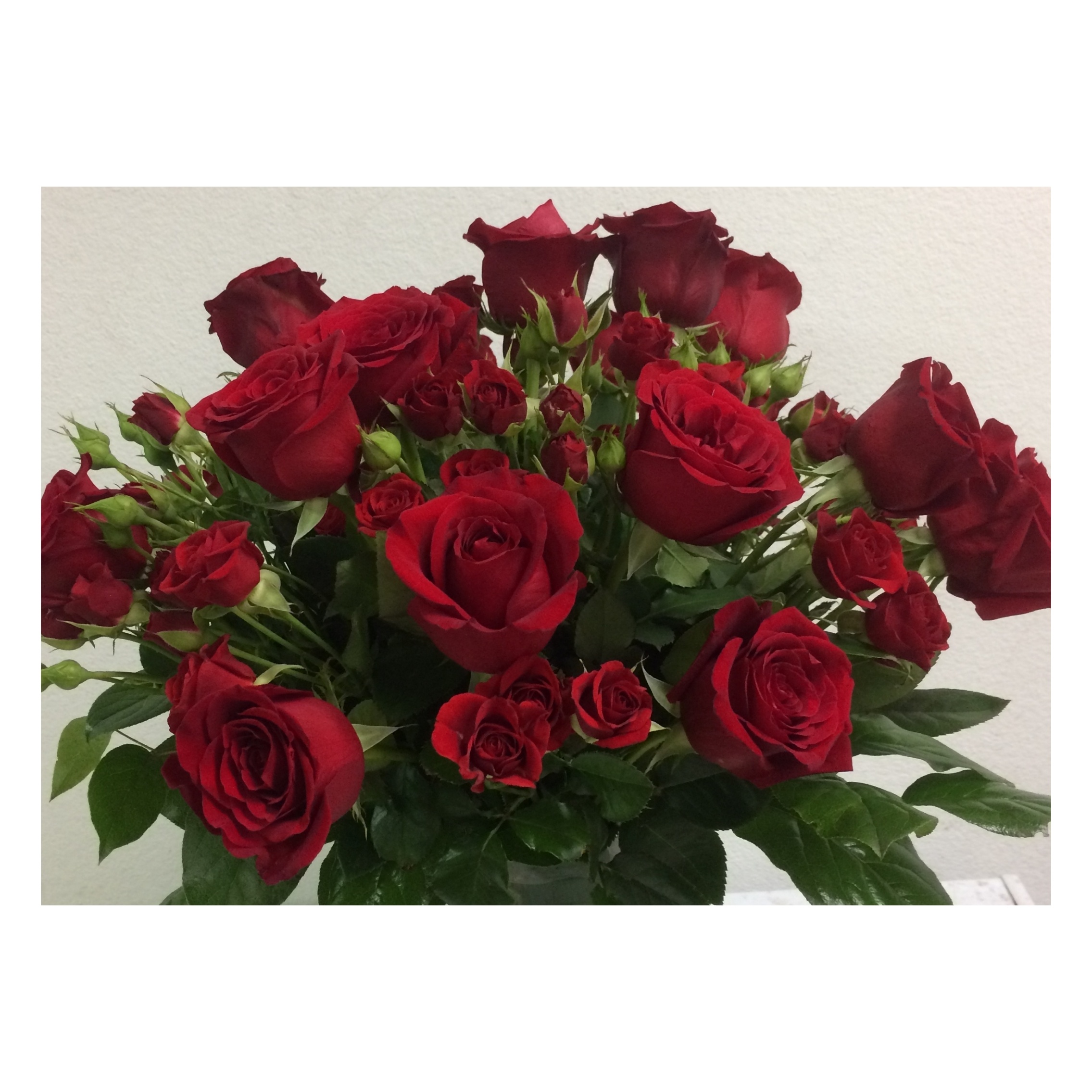 Red Rose for Valentine's Day 87144