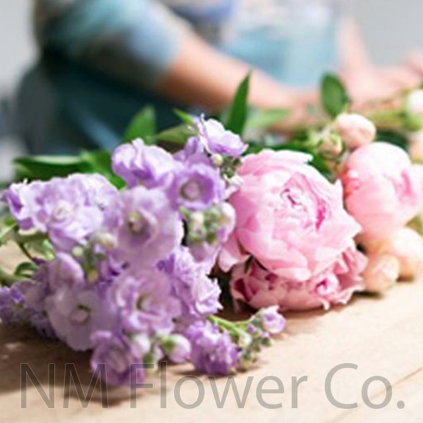 Professional Flower Care Tips ABQ